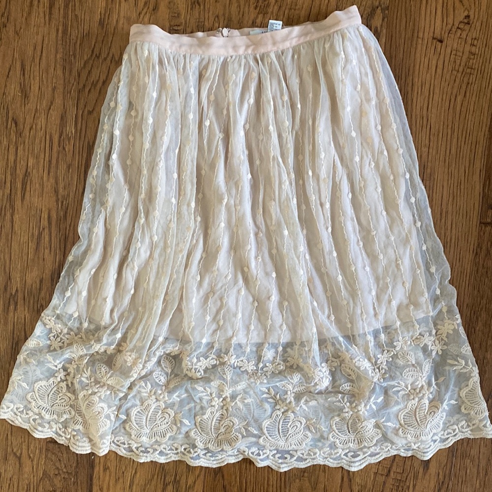 Delicate Detail Embroidered Skirt